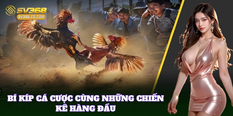 Top Trường Gà Lớn Nhất – Địa Chỉ Vàng Cho Dân Cá Cược Đá Gà